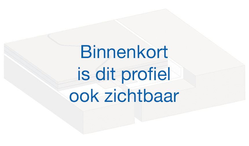 De afbeelding voor dit profiel wordt gerealiseerd.